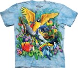 Birds Tropics Adult Birds Tropics Adult