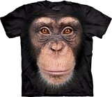 Chimp Face Adult Chimp Face Adult