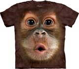 Big Face Baby Orangutan Adult Big Face Baby Orangutan Adult