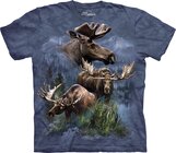 Moose Collage Adult Moose Collage Adult