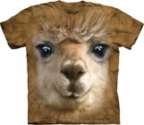Big Face Alpaca Adult Big Face Alpaca Adult