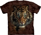 Tiger Prowl Adult Tiger Prowl Adult