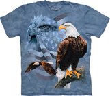 Faded Flag & Eagles Faded Flag & Eagles