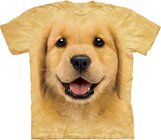 Golden Retriever Puppy Golden Retriever Puppy