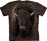 American Buffalo Adult American Buffalo Adult