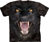 Aggressive Panther Aggressive Panther