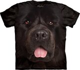 Big Face Newfie Big Face Newfie