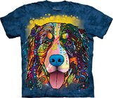 Russo Bernese Mountain Russo Bernese Mountain