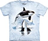 T-Shirt Schwertwale T-Shirt Schwertwale