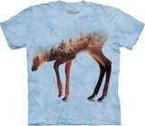 Forest Doe Forest Doe