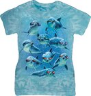 Cool delfinek női póló Cool delfinek női póló