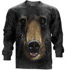 Grizzlybär Grizzlybär