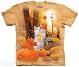 Fall Kitty Fall Kitty