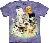 10 Kittens Child 10 Kittens Child