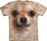 Chihuahua Face Adult Chihuahua Face Adult