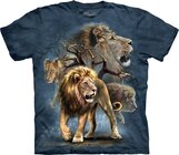 Lion Collage Child Lion Collage Child