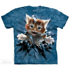 T-Shirt Kätzchen Ginger T-Shirt Kätzchen Ginger