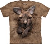 Baby Kangaroo Child Baby Kangaroo Child