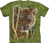 Baby Tiger Child Baby Tiger Child