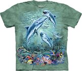 Find 12 Dolphins Child Find 12 Dolphins Child