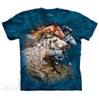 Find 13 Horses Child Find 13 Horses Child