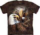 Find 14 Eagles Child Find 14 Eagles Child