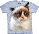 Dětské, modré tričko Grumpy cat Dětské, modré tričko Grumpy cat