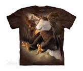 Freedom Eagle Freedom Eagle