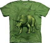 Triceratops Child Triceratops Child
