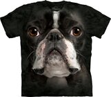 Boston Terrier Face Child Boston Terrier Face Child