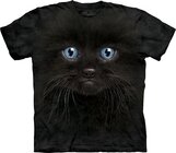 Black Kitten Face Child Black Kitten Face Child