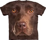 Chocolate Lab Face Chocolate Lab Face