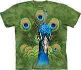 Vibrant Peacock Child Vibrant Peacock Child