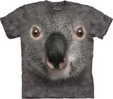 Gray Koala Face Child Gray Koala Face Child