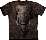 Elephant Face Adult Elephant Face Adult