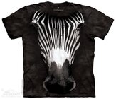 Big Face Grevy's Zebra Big Face Grevy's Zebra