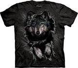 Breakthrough Wolf Breakthrough Wolf