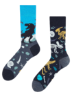 Regular Socks Dinosaurs Regular Socks Dinosaurs
