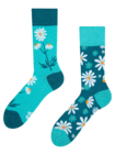 Chaussettes rigolotes Camomilles Chaussettes rigolotes Camomilles
