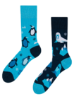 Regular Socks Polar Animals Regular Socks Polar Animals