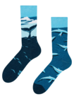 Regular Socks Whale Regular Socks Whale