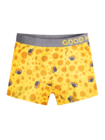 Živahne fantovske boksarice Sir Živahne fantovske boksarice Sir