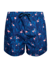 Bermudas alegres para hombre Flamenco de noche Bermudas alegres para hombre Flamenco de noche