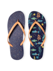 Chancletas alegres Vida marina Chancletas alegres Vida marina