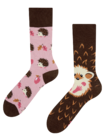 Lustige Socken Igel Lustige Socken Igel