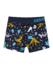 Boys' Boxers Dinosaurs