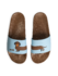 Slides Long Dachshund