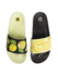 Slides Lemons Slides Lemons