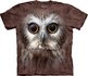 Saw Whet Owl Child