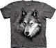 Wolf Portrait Adult Wolf Portrait Adult